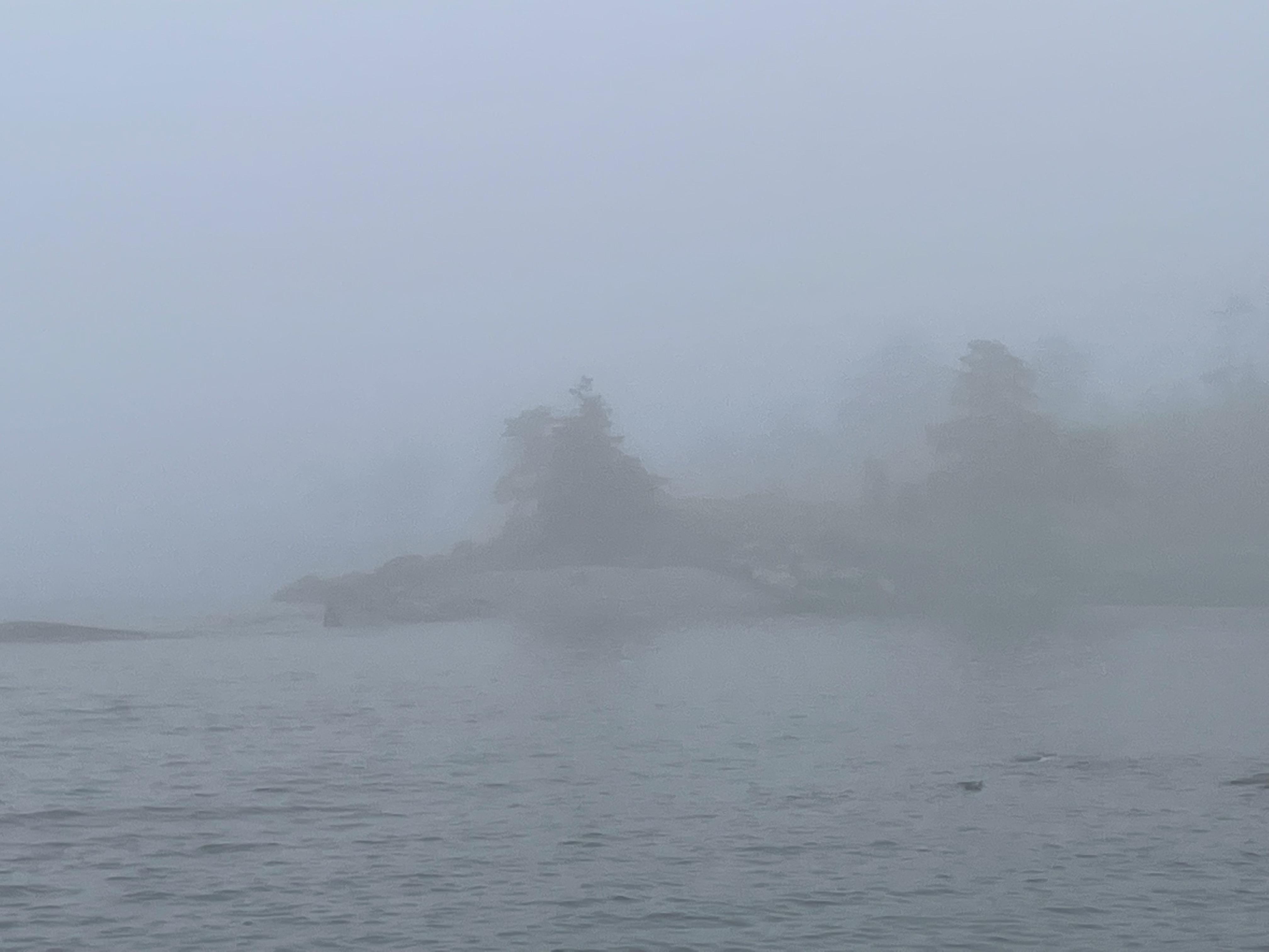 Photo by the sea in Halifax by Kim King, RSCJ