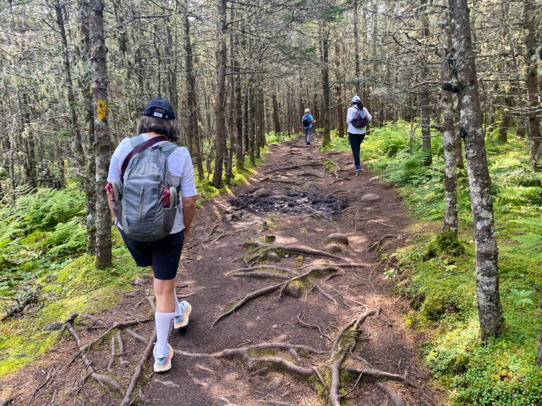 Associates, educators, young adults, and RSCJ  gather for hiking retreat