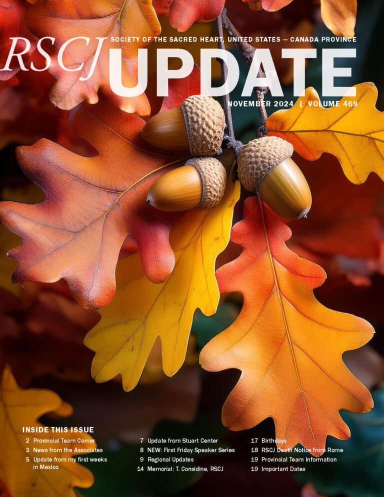 RSCJ Update November 2024