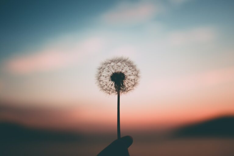 First Friday reflection for November 2020