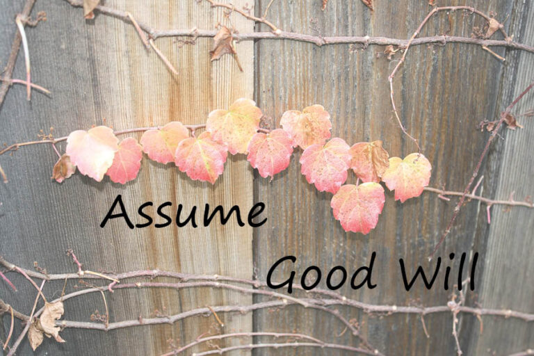 Assume Good Will