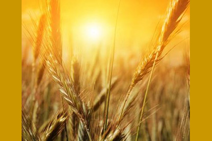 Year of Prayer – August 6