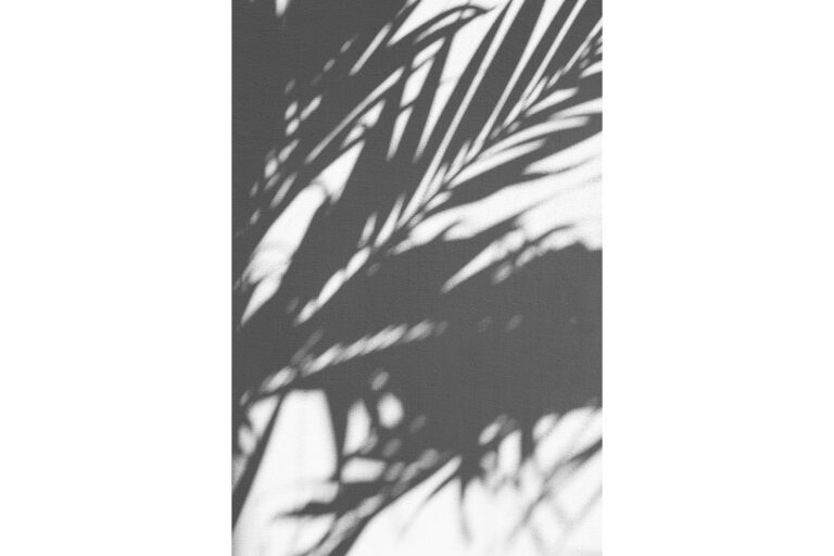 Palm Sunday reflection 2020