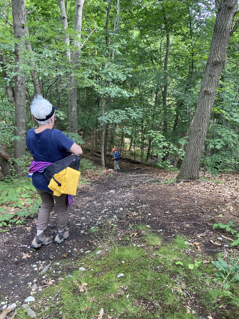 Clinging to the top of the ridge