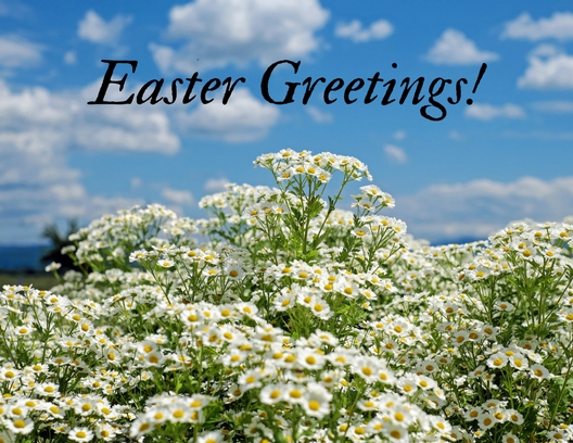Easter Greetings