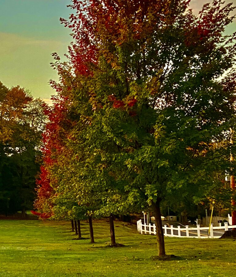 God’s Coloring Book