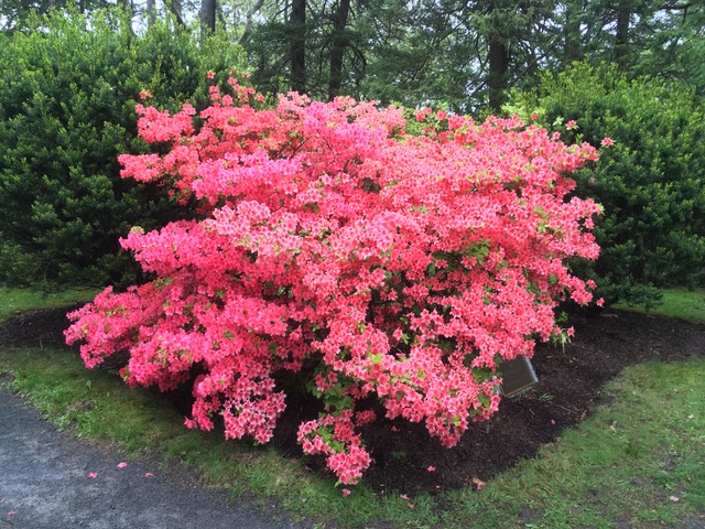 First Friday reflection for May 2019