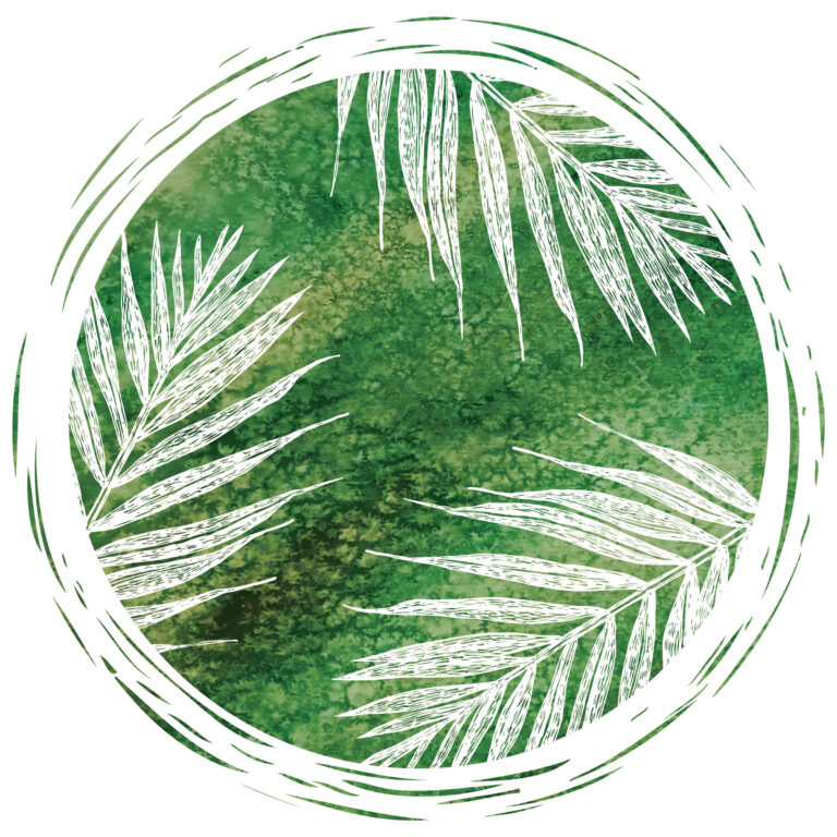 Palm Sunday reflection