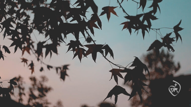 First Friday reflection for September 2019