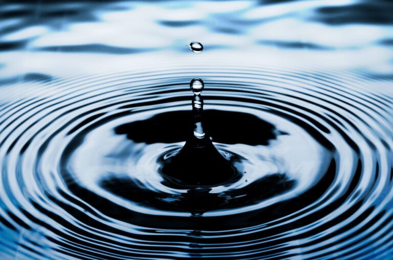 Monday reflection: Whisper