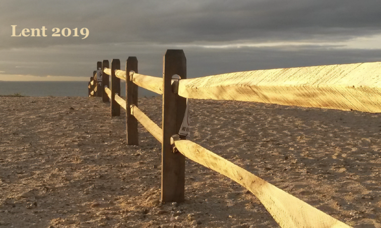 RSCJ Update March 2019