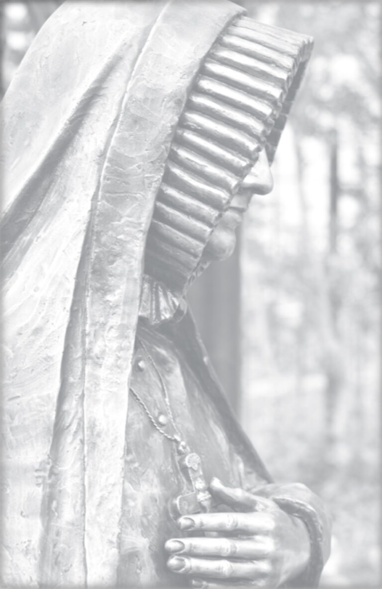 RSCJ Update November 2018