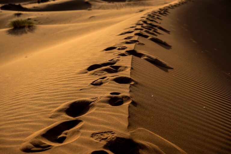 Third Sunday of Lent reflection