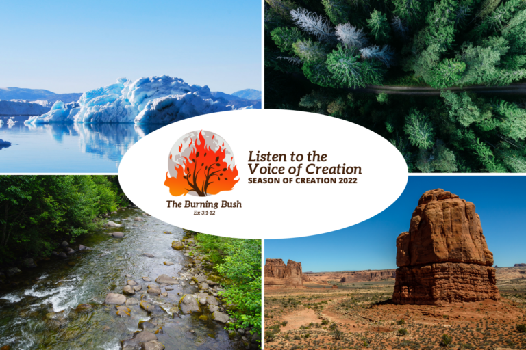 Season of Creation 2022