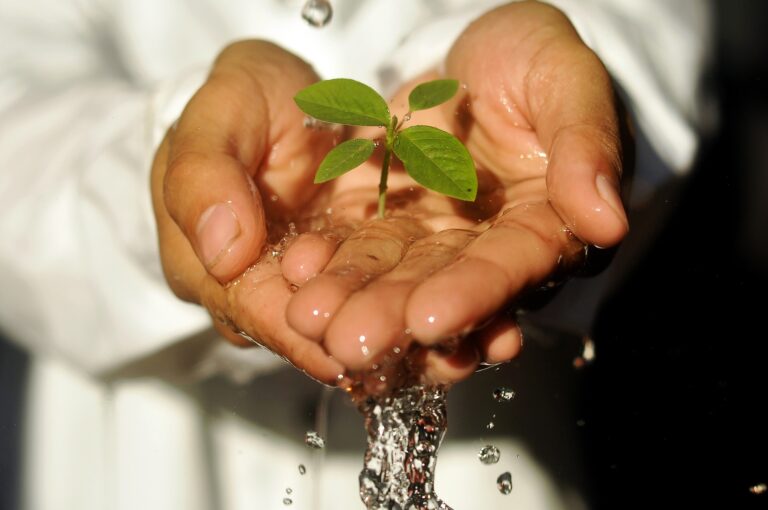 Society of the Sacred Heart renews JPIC Commitment