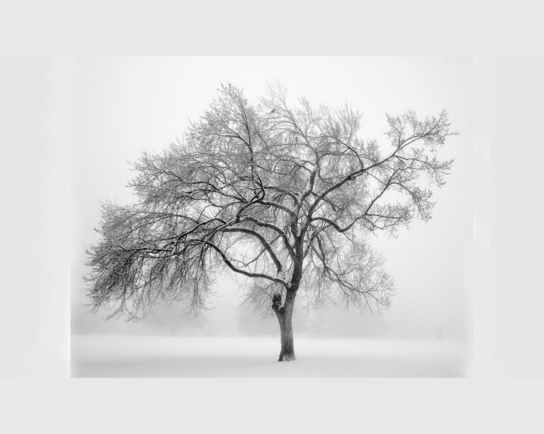 Poetry by RSCJ